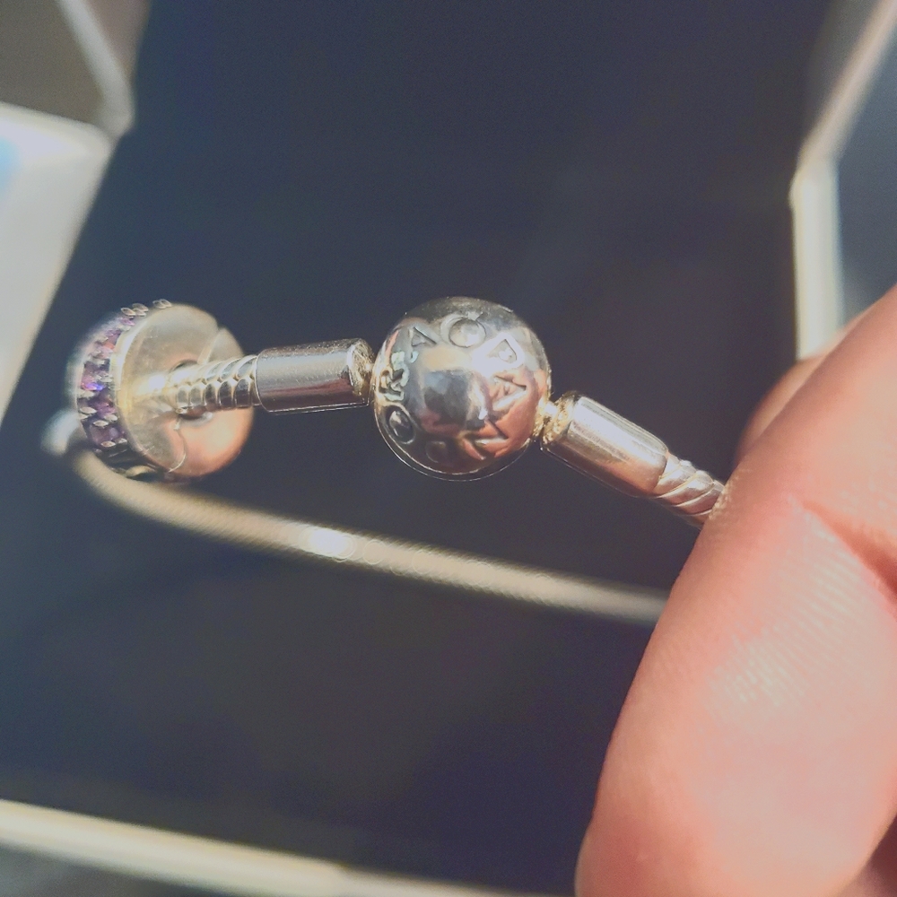 Pandora Braclet and Charm